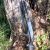 IMG_20260509_170417031-EDIT