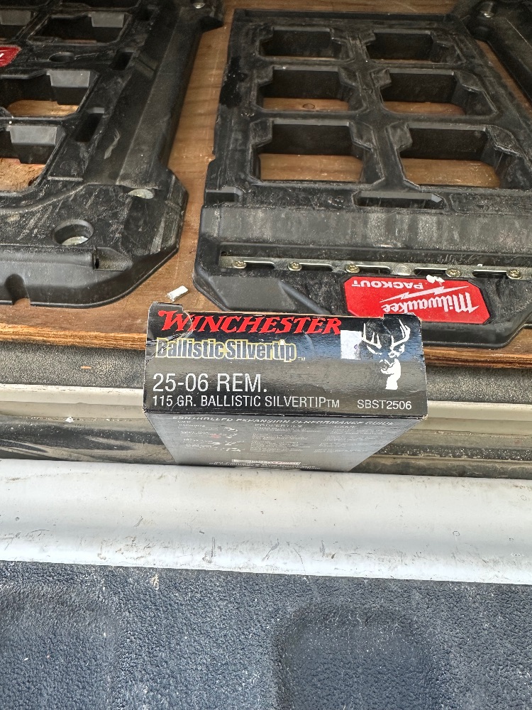 IMG_3303 IMG_3303