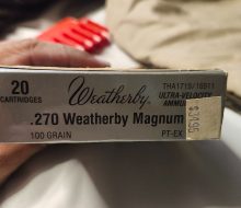 1000008391