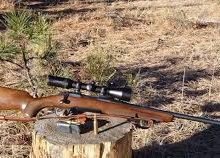 browning xbolt