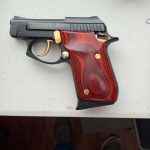 taurus pt