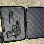 Colt in Case