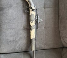 Gun 1