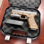 FDE 1