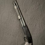 IMG_5500
