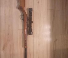 Marlin 1