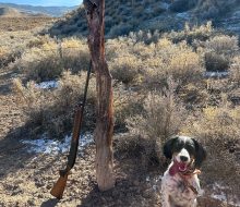 IMG_5039