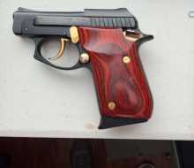 taurus pt