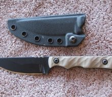 dagr and nott