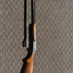 shotgunpic 02