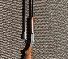 shotgunpic 02