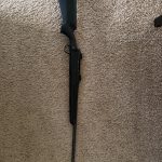IMG_8853