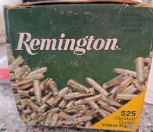 22lr Remington hollow point 450 box