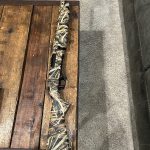 IMG_1391