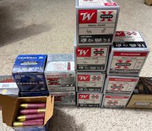 IMG_7207