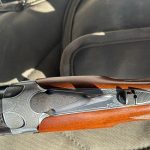 IMG_8558