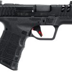 SAR SC 2