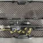 AR10.1