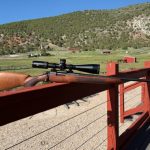 Bergara 1