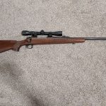 Remington 700 270