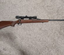 Remington 700 270