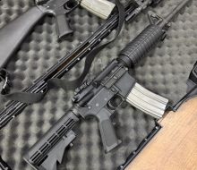 Colt