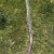 IMG_0812 IMG_0812