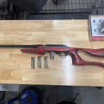 Marlin 1