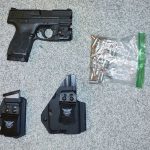 M&PShield1