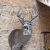 IMG_6694 IMG_6694