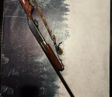 IMG_8297