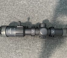 Sig Sauer 1