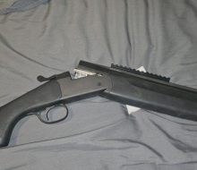 Stoeger1