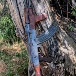 IMG_20260719_141744429_HDR-EDIT