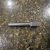 IMG_4909 IMG_4909
