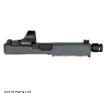 PI-CGS-17-54176-1