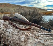 IMG_0514
