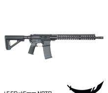 S-CUTLASS-AP-GUN-R-556-16M-CG-FRT-1
