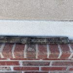 IMG_2987