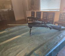 Rem 700 Long Range 10