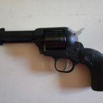 Ruger Wrangler .22LR 4 inch Birdhead