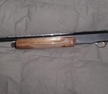 B 12 2