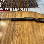 shotgun 6