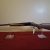 03-stoeger-coach-gun