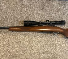 image4 (7)