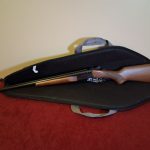 01-stoeger-coach-gun