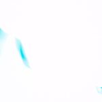 combo-ammunition-non-bulk-12-gauge-short__unidentified-overexposed-12ga-photo-restored