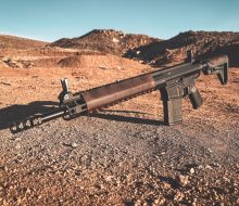 STAG AR10