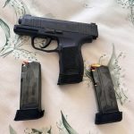 Sig Sauer P 365