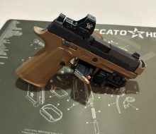 SIG 1
